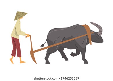 Granjero asiático con sombrero cónico de paja que luce con Oxen, personaje de campesinos machos trabajando en vectores tipo caricatura de campo Paddy