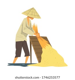 Asian Farmer in Straw Conical Hat Harvesting Rice Cartoon Style Vector Illustration on White Background