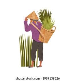 Asian Farmer in Straw Conical Hat Carrying Bundles of Rice Grass in Wicker Basket Vector Illustration