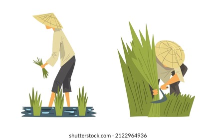 Asian Farmer in Straw Conical Hat Working on Paddy Field Vector Set