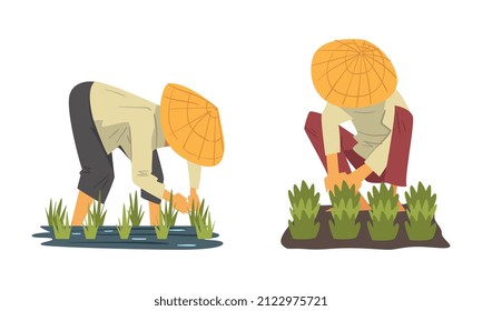 Asian Farmer In Straw Conical Hat Working On Paddy Field Vector Set