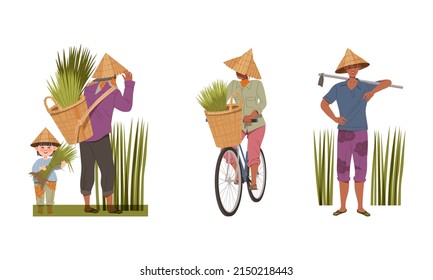 Asian Farmer in Straw Conical Hat Carrying Bundles of Rice Grass and Standing with Rake Vector Illustration Set