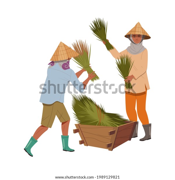 Asian Farmer Straw Conical Hat Gathering Stock Vector Royalty Free 1989129821 1452