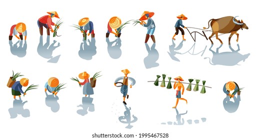 Asian farmers in agriculture set. Chinese, Vietnamese, Indian or Indonesian workers vector illustration. Men and women collecting crops, plowing with bull on white background.