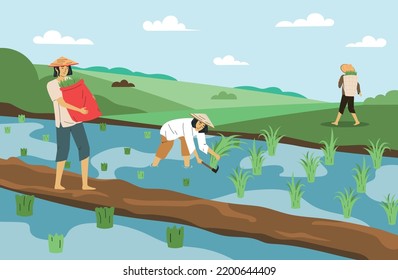 Agricultores asiáticos con sombreros cónicos trabajando en ilustración vectorial plana de campo de arroz