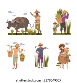 Asian farmers planting harvesting rice in paddy field set. Peasant in straw hats working on field vector illustration