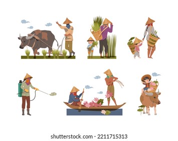 Asian Farmers in Straw Conical Hat Working on Rice Field and Lotus Vector Set