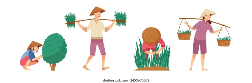 Asian Farmers in Straw Conical Hat Working on Field Vector Set