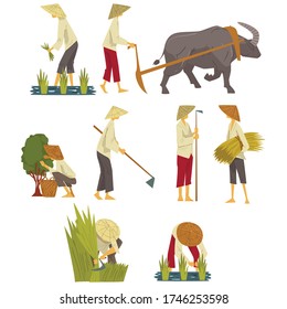 Asian Farmers in Straw Conical Hats Working on Field, Peasants Characters Planting and Harvesting Rice, Picking up Tea Leaves Cartoon Style Vector Illustration