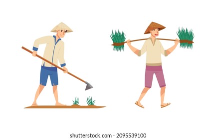 Asian farmers working on farm set. Peasants in straw conical hats planting and harvesting rice on field cartoon vector illustration