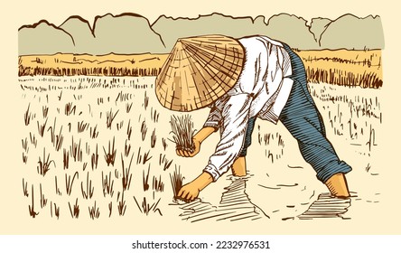 Asiatische Bauern arbeiten auf dem Feld. Bauern, die Vektorgrafik ernten. Handgezeichnete Illustration.