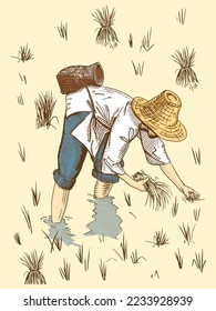 Asian farmers working on Field. Farmer harvesting vector. Hand drawn illustration.	