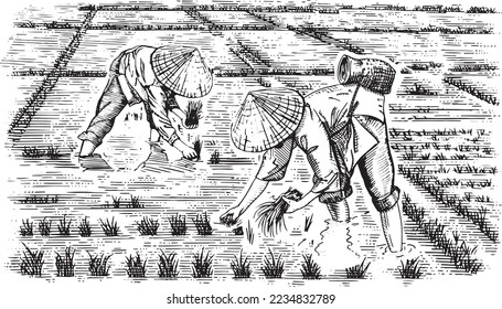 Asian farmers working on Field. Farmer harvesting vector. Hand drawn illustration.