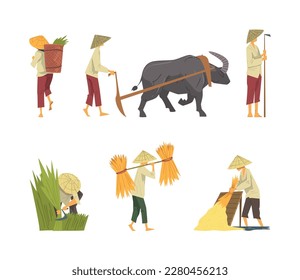 Asian farmers working on field set. Peasants characters in straw conical hat plowing the land and harvesting cartoon vector illustration