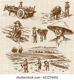 Asian farmers working on Field. Hand drawn illustration. Rice harvest.