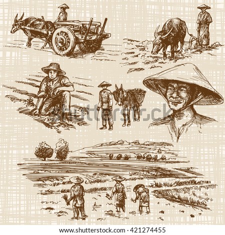 Asian farmers working on Field. Hand drawn illustration. Rice harvest.