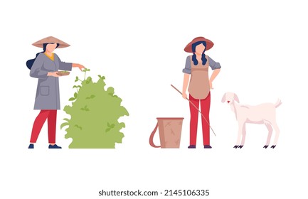 Asian Female Farmer Cultivating Agricultural Crop And Breeding Livestock Vector Illustration Set