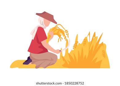 Asian Female Farmer with Hook Reaping Ear of Wheat Vector Illustration