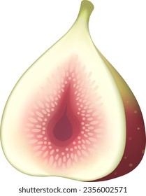 The asian fig fruit isolated on white background