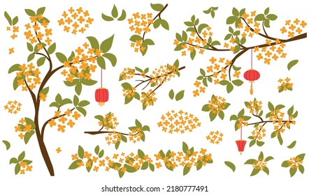 Asian floral branch set. Korean flowers collection. Blossoming osmanthus fragrans. Traditional oriental osmanthus flowers isolated elements. Decorative japanise floral branches. Vector illustration.