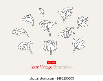 Asian Flower Drawing  Collection Vector