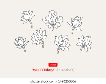 Asian Flower Drawing  Collection Vector