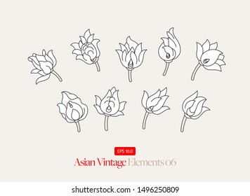 Asian Flower Drawing  Collection Vector