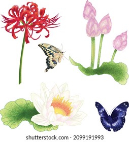 Asian Flowers- Water Lily and Spider Lily with Butterflies Digital Illustrations