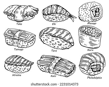 Colección de comida asiática. Sushi. Estilo de esbozo. Ilustración dibujada a mano por vectores. Objetos aislados para el diseño