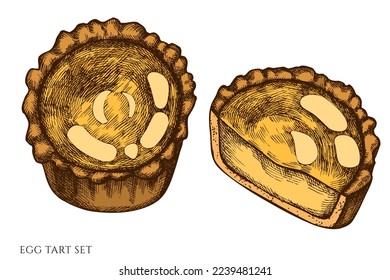 Asian food hand drawn vector illustrations collection. Colored egg tart.