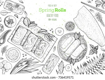 Asian food menu design template. Spring rolls and ingredients for spring rolls vector illustration. Vietnamese food top view frame.  Vintage hand drawn sketch vector illustration. Engraved image.