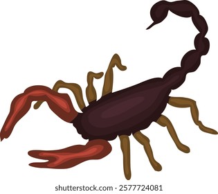 Asian forest scorpion "Heterometrus spinifer" closeup on isolated background, Asian forest scorpion closeup