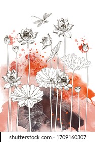 Asian garden. Hand drawn sketch and watercolor illustration of lotus flower and japan fish