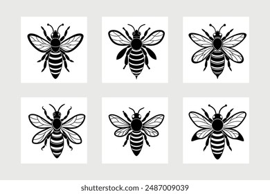 Asian giant hornet bee vector illustration.