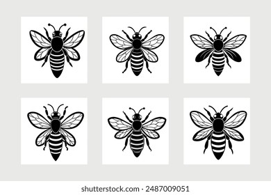 Asian giant hornet bee vector illustration.