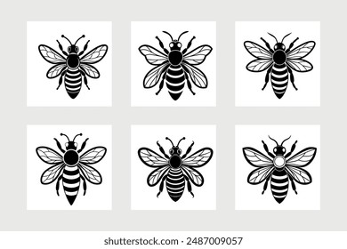 Asian giant hornet bee vector illustration.