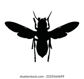 Asian Giant Hornet Black Silhouette Vector Desain