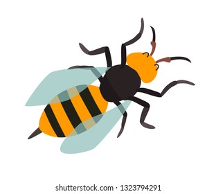 Asian giant hornet icon vector illustration. Cartoon style bee, isolated on a white background