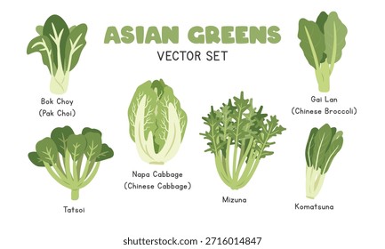 Conjunto de Ilustración vectorial de los verdes asiáticos. Clipart de dibujos animados verdes asiáticos en estilo plano. Bok Choy, Napa Col, Tatsoi, Mizuna, Gai Lan, Komatsuna, Verduras Diseño de Vector plano