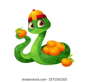 Asian horoscope cartoon snake character with Chinese New Year holiday mandarin oranges. Lunar calendar snake animal vector personage with asian holiday fruit gifts and oriental traditional hat