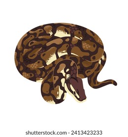 Pithon de rock asiático o indio, constrictor común. Boa grande con piel manchada, escala estampada. Reptile exótico, animal tropical. Fauna peligrosa. Ilustración vectorial aislada plana sobre fondo blanco