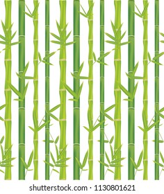 Asian jungle plant bamboo branches with leaves pattern design background.
