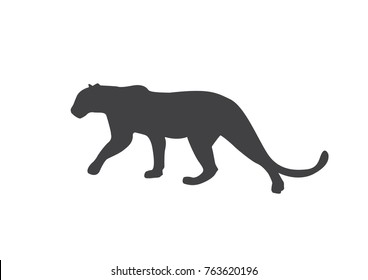 Asian Leopard silhouette 