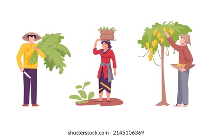 Asian Male and Female Farmer Cultivating Agricultural Crop Vector Illustration Set