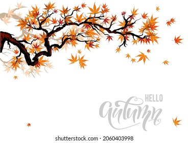 Asian maple branch silhouette with orange leaves for design banner, ticket, leaflet, card, poster and so on.