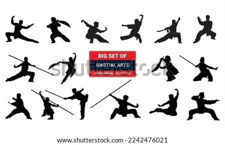 Asian martial arts, isolated vector black silhouettes, 3d illustration
