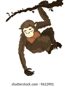 Asian Monkey Hanging