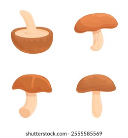 Asian mushroom icons set cartoon vector. Asian shiitake mushroom or fungi. Autumn food