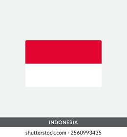 Asian national flag vector design