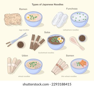 Asian noodles types set. Traditional japanese unprepared food and dishes in ceramic bowls. Egg, cellophane, buckwheat and wheat noodles. Ramen, soba and udon. Vector Illustration